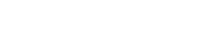 текст у дужках